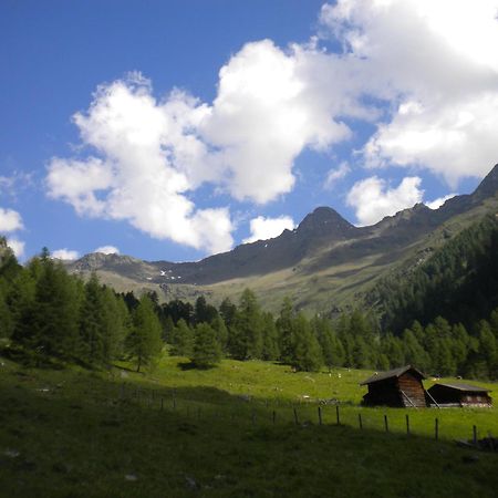 Bed & Breakfast Dolomiti Bey Haus Pinter Assling Exteriér fotografie