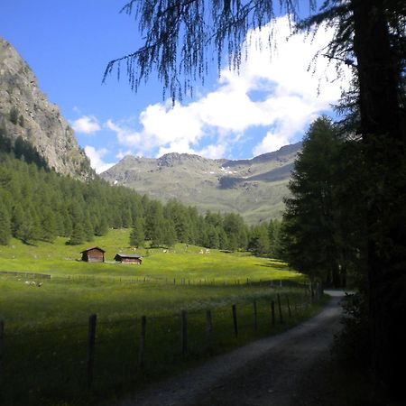 Bed & Breakfast Dolomiti Bey Haus Pinter Assling Exteriér fotografie