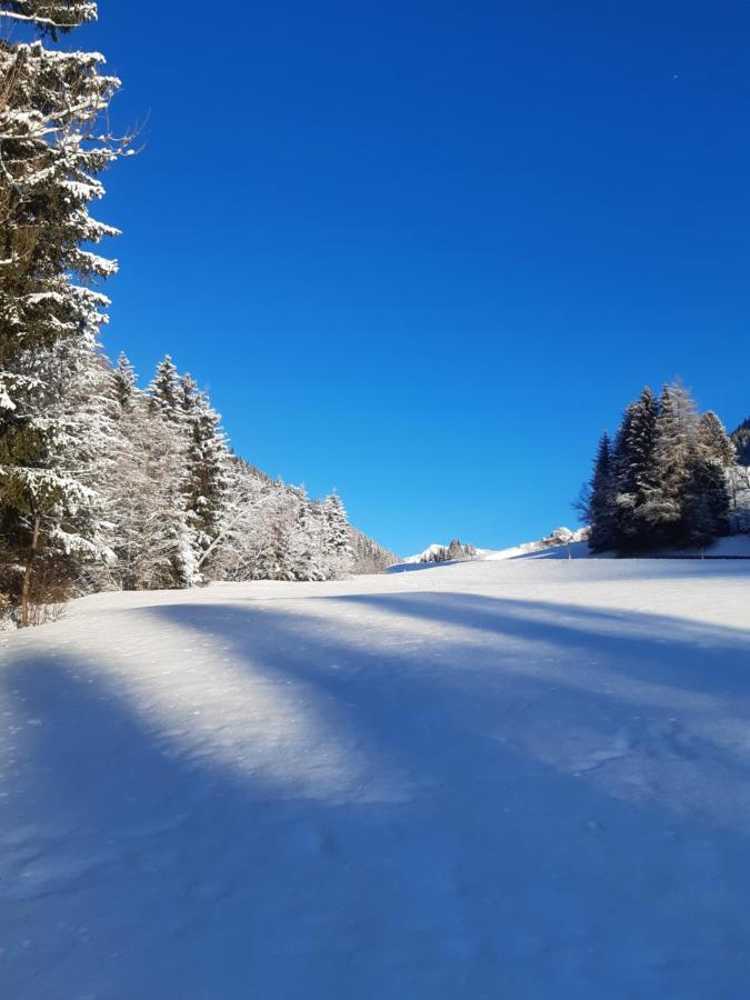 Bed & Breakfast Dolomiti Bey Haus Pinter Assling Exteriér fotografie