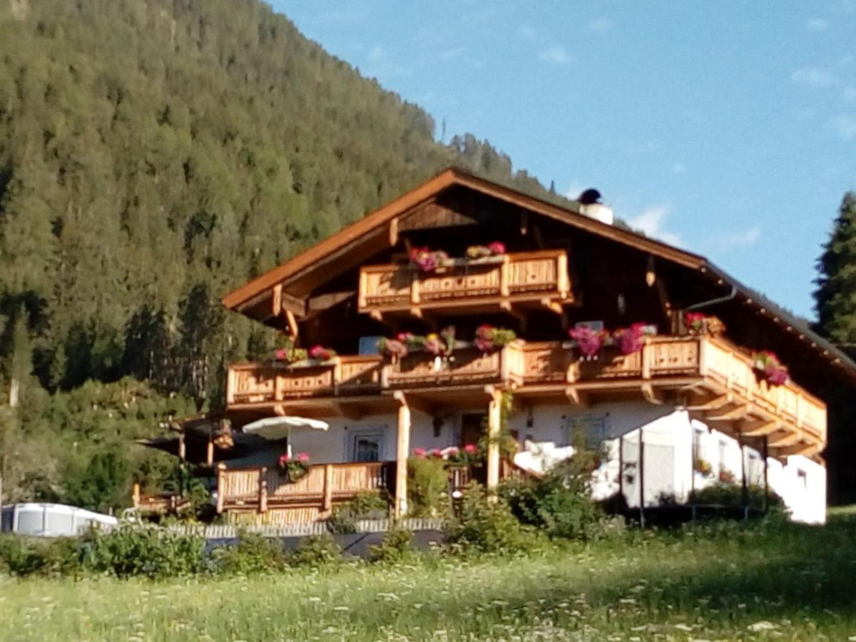 Bed & Breakfast Dolomiti Bey Haus Pinter Assling Exteriér fotografie