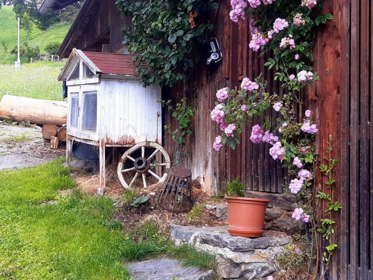 Bed & Breakfast Dolomiti Bey Haus Pinter Assling Exteriér fotografie