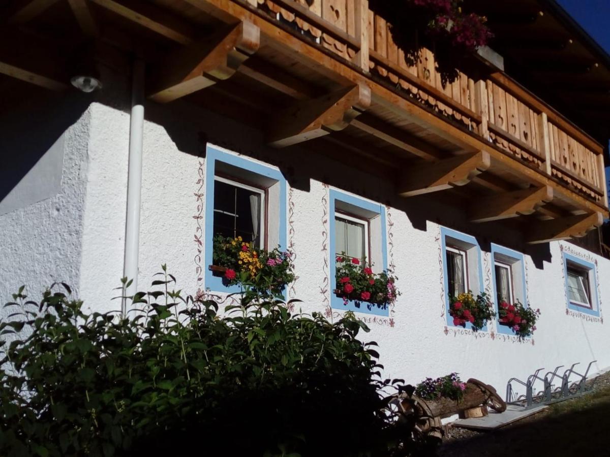 Bed & Breakfast Dolomiti Bey Haus Pinter Assling Exteriér fotografie