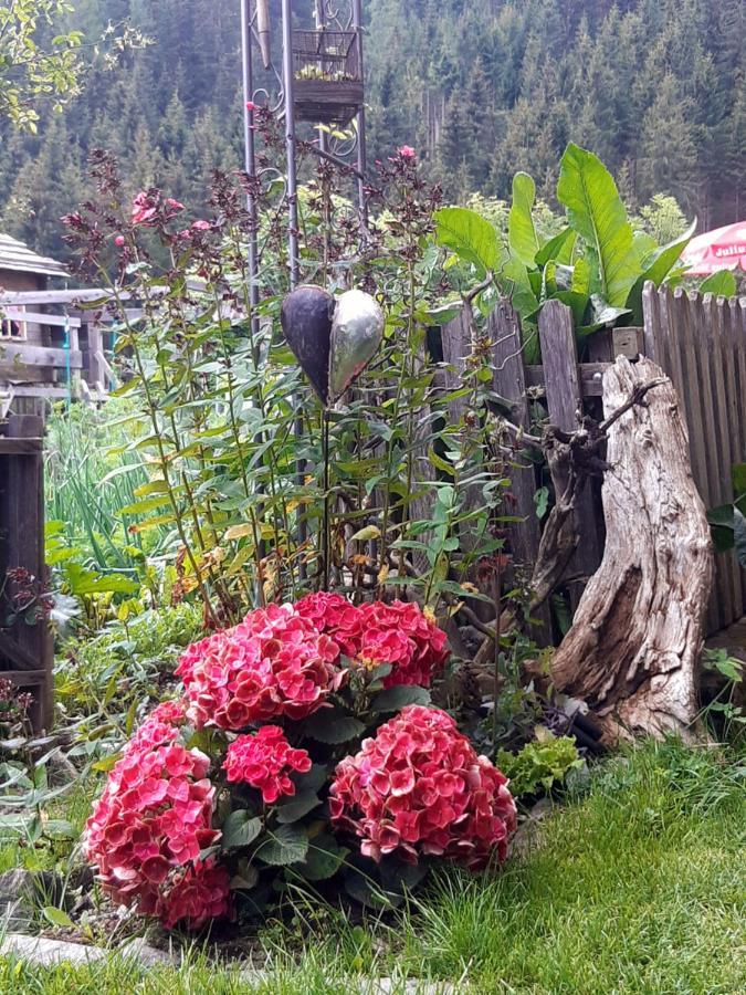 Bed & Breakfast Dolomiti Bey Haus Pinter Assling Exteriér fotografie