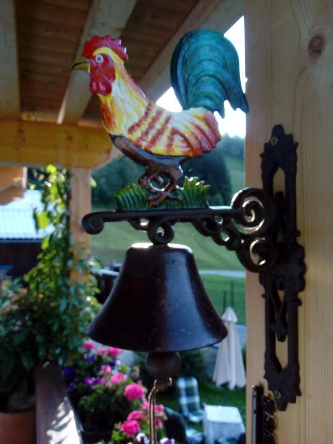 Bed & Breakfast Dolomiti Bey Haus Pinter Assling Exteriér fotografie