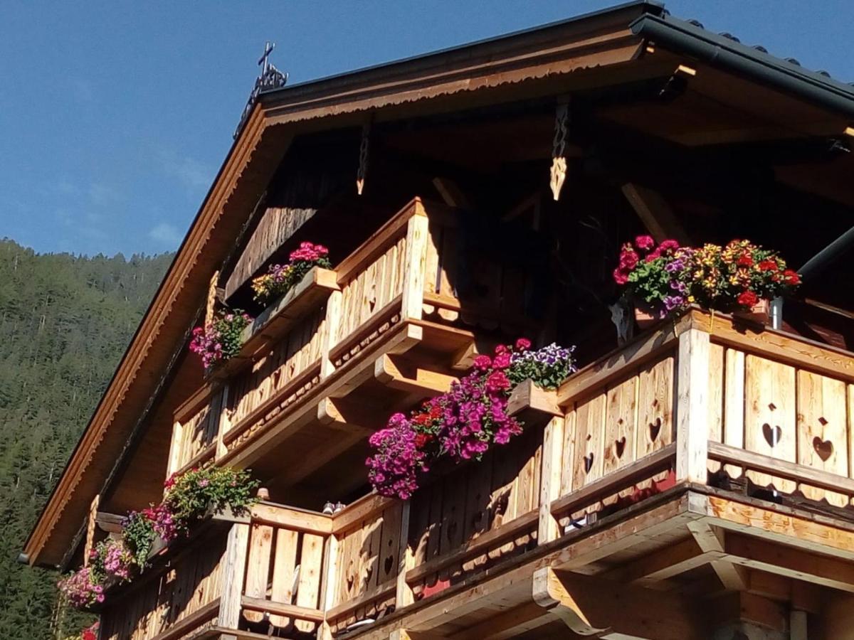 Bed & Breakfast Dolomiti Bey Haus Pinter Assling Exteriér fotografie