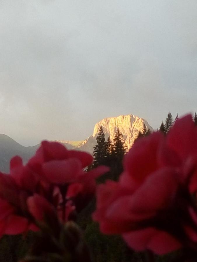 Bed & Breakfast Dolomiti Bey Haus Pinter Assling Exteriér fotografie
