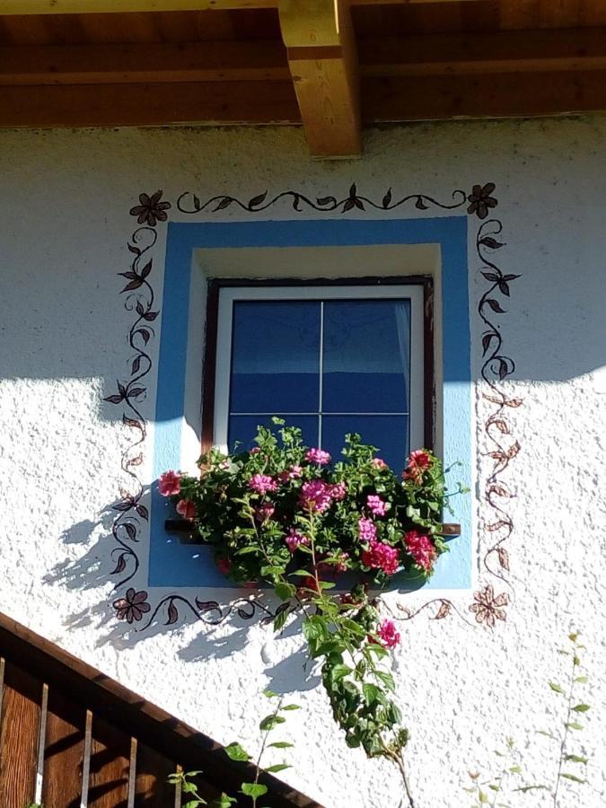Bed & Breakfast Dolomiti Bey Haus Pinter Assling Exteriér fotografie