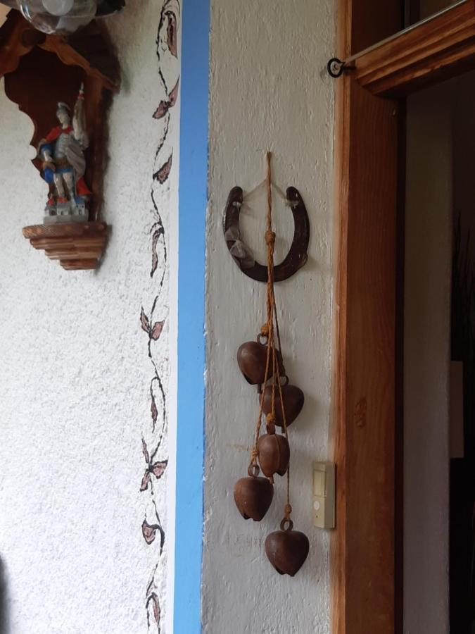 Bed & Breakfast Dolomiti Bey Haus Pinter Assling Exteriér fotografie