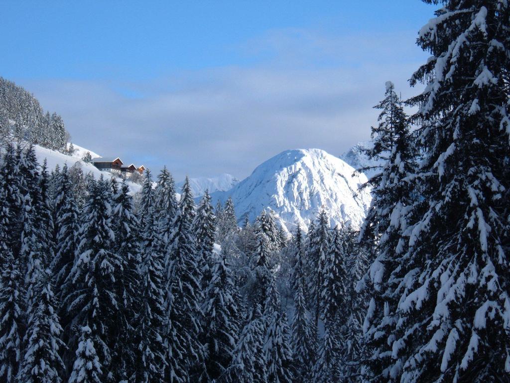 Bed & Breakfast Dolomiti Bey Haus Pinter Assling Exteriér fotografie