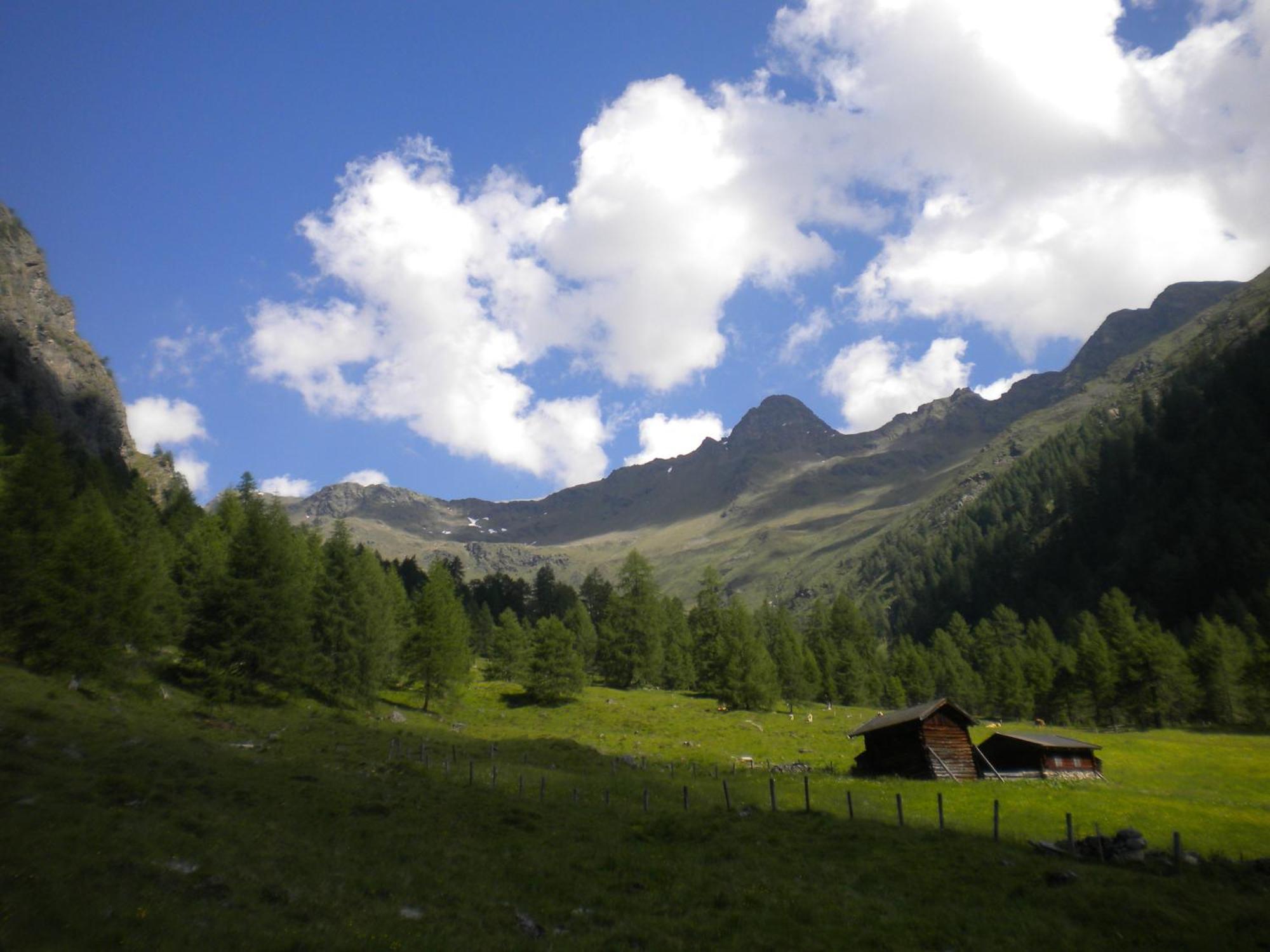 Bed & Breakfast Dolomiti Bey Haus Pinter Assling Exteriér fotografie