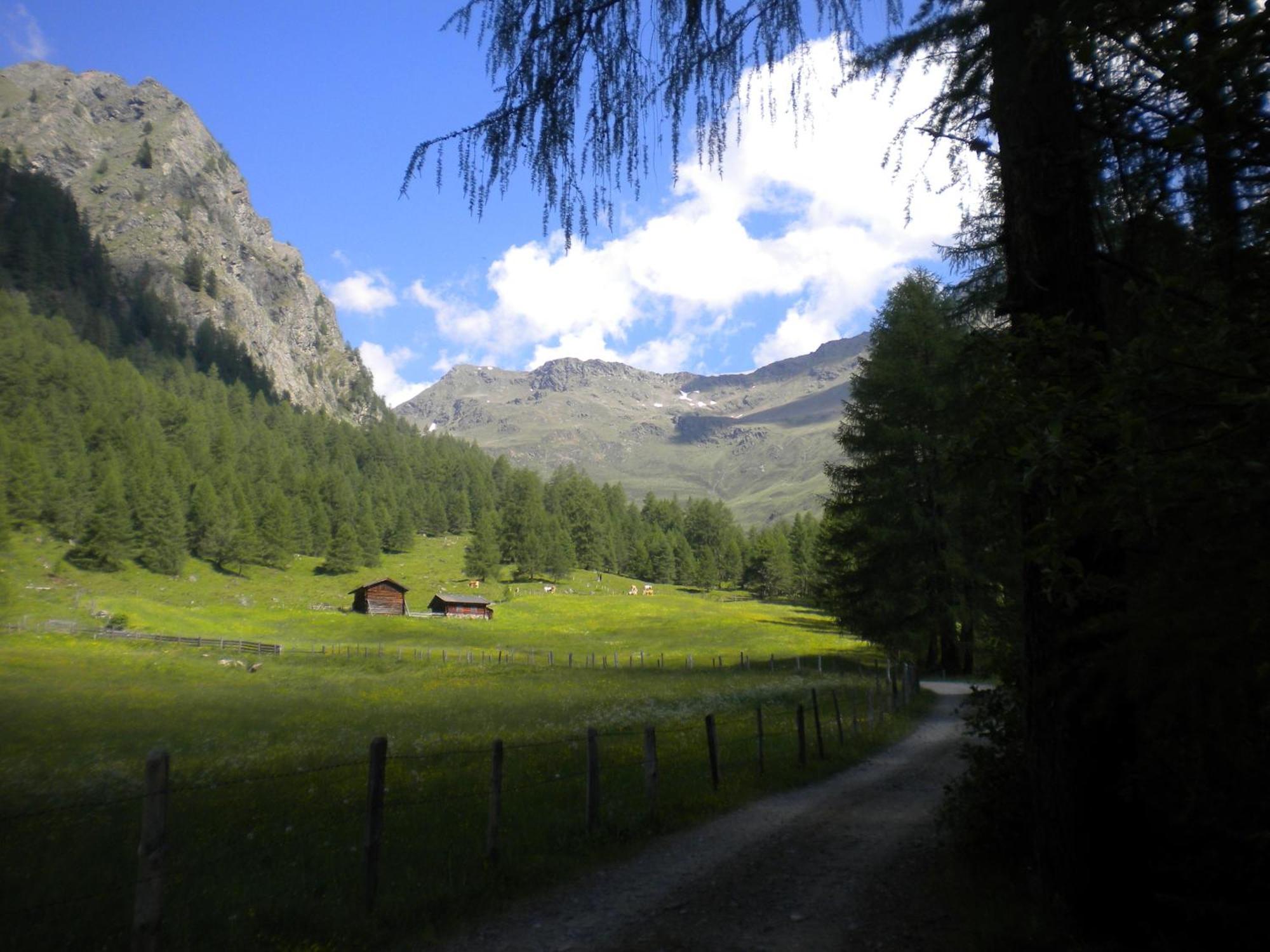 Bed & Breakfast Dolomiti Bey Haus Pinter Assling Exteriér fotografie