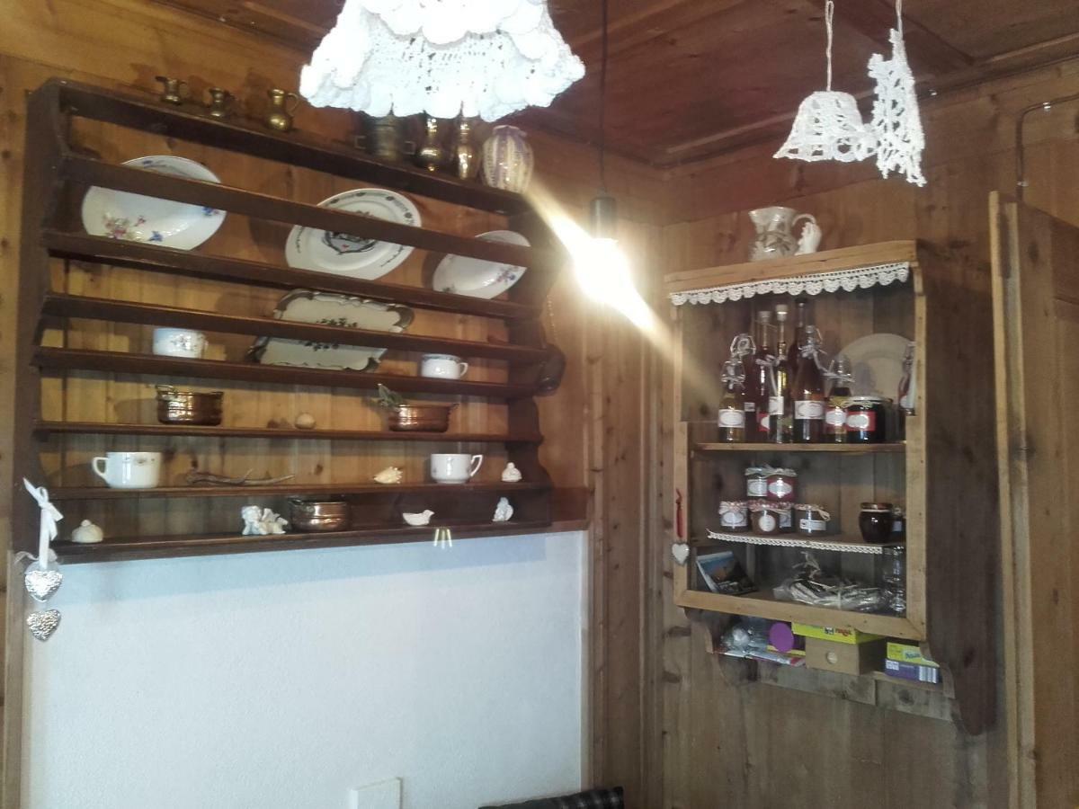 Bed & Breakfast Dolomiti Bey Haus Pinter Assling Exteriér fotografie