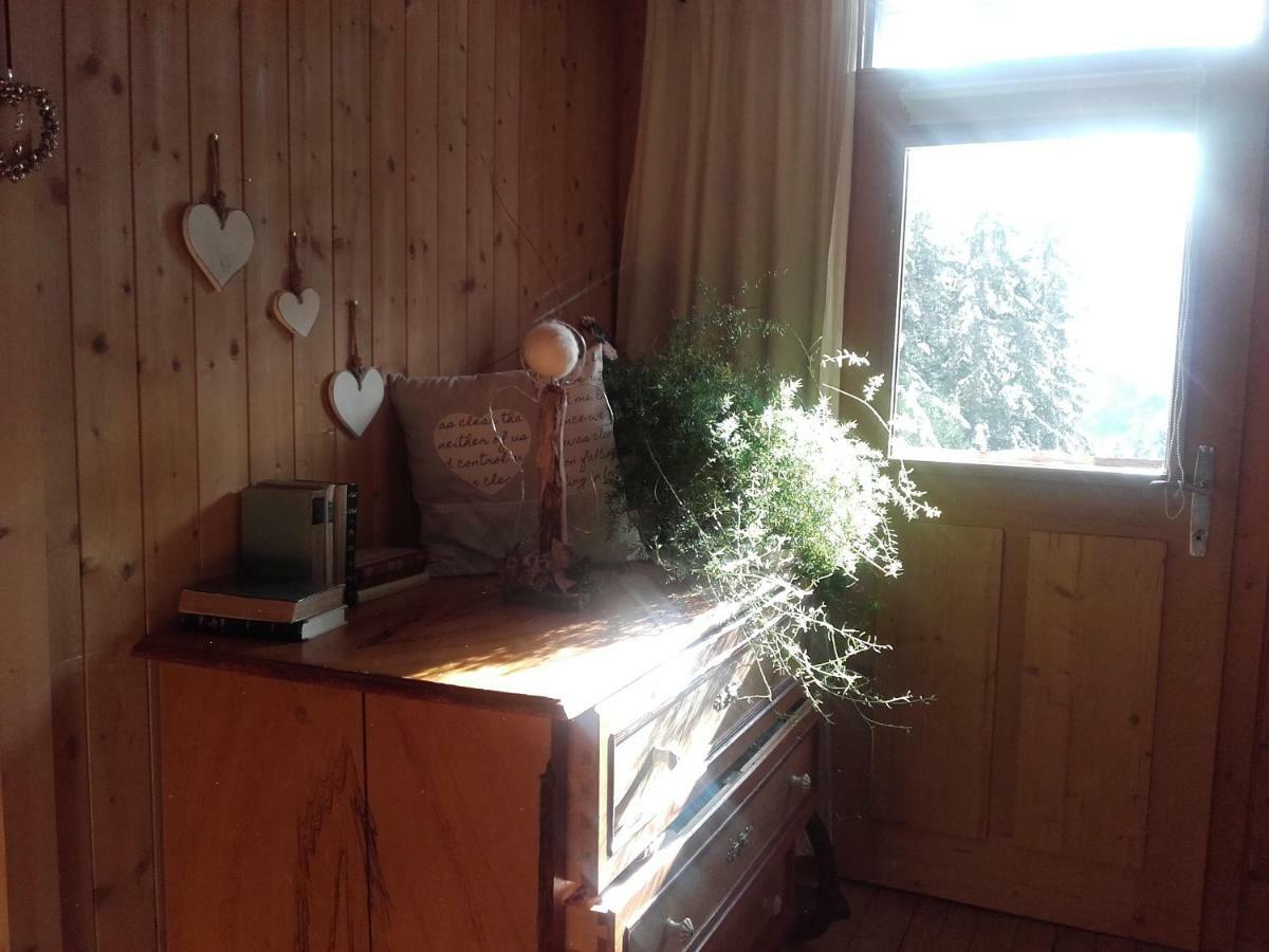 Bed & Breakfast Dolomiti Bey Haus Pinter Assling Exteriér fotografie