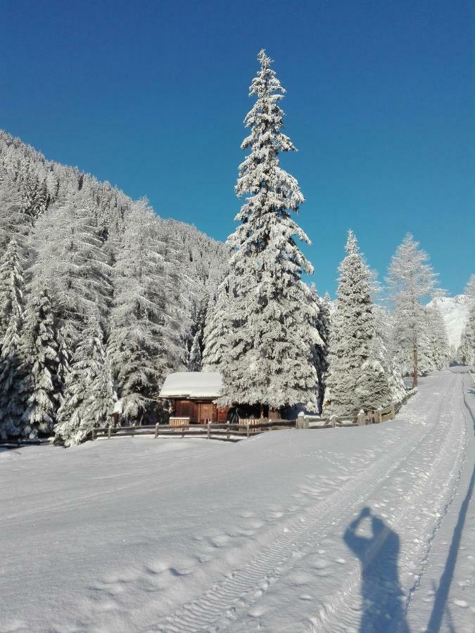 Bed & Breakfast Dolomiti Bey Haus Pinter Assling Exteriér fotografie