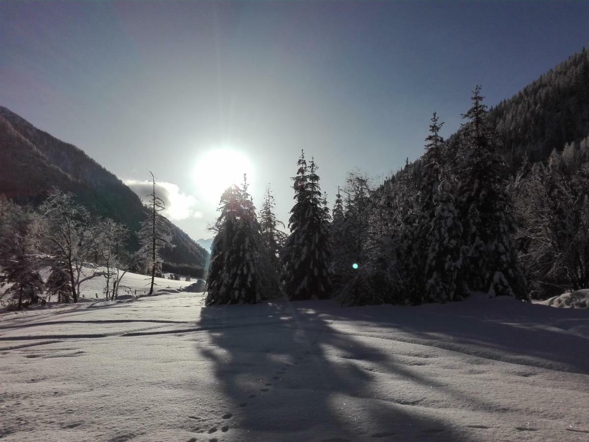 Bed & Breakfast Dolomiti Bey Haus Pinter Assling Exteriér fotografie